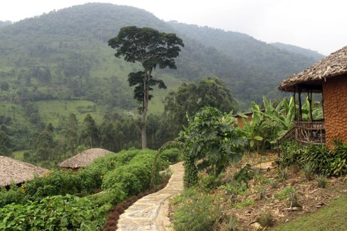 /Media/images/Product_Images/resort reports/mahogany/lodge views.jpg